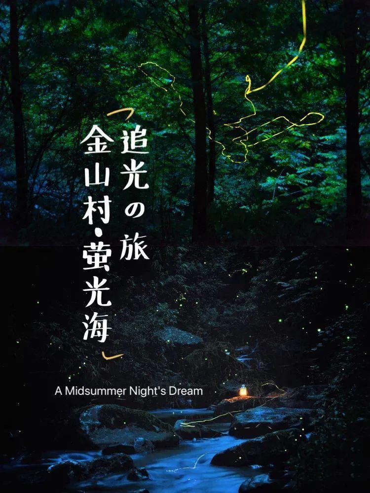救援老画家